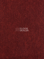 Ковролин Haima Coral 36 фото 1 | FLOORDEALER